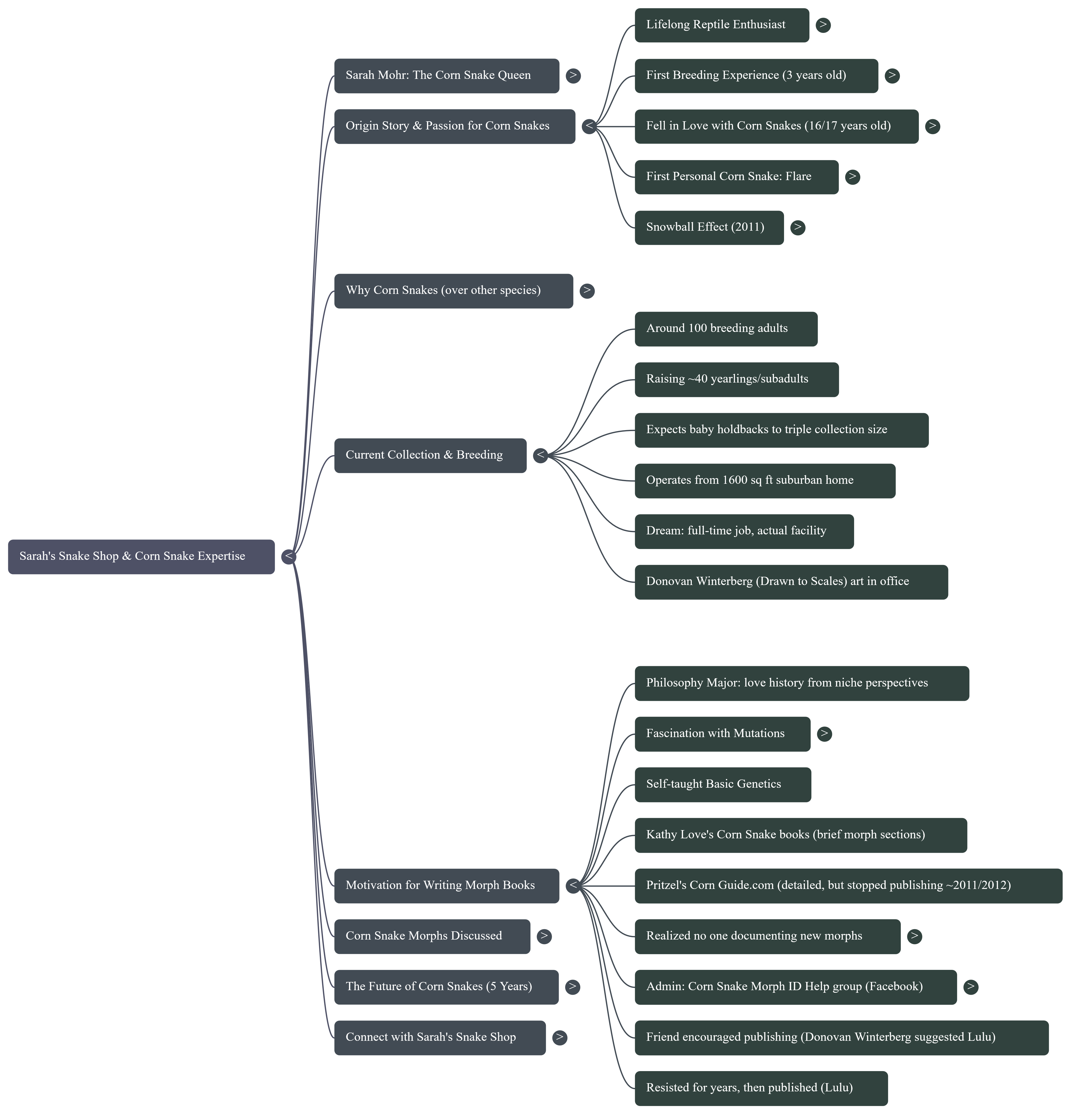 NotebookLM Mind Map.png